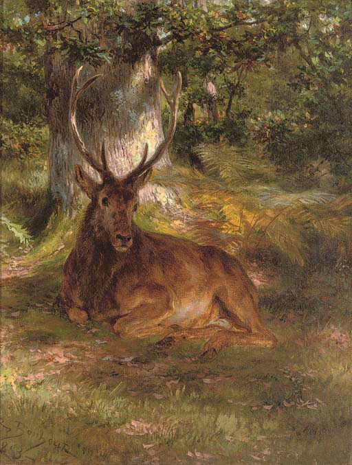 A stag in a forest
